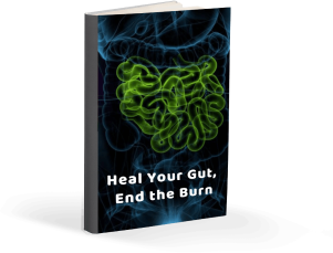 VivoGut free bonus 2